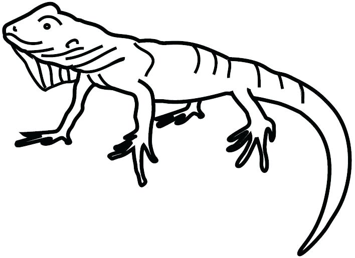708x515 Colorear Iguana Coloring Page Iguana Animals Printable Coloring