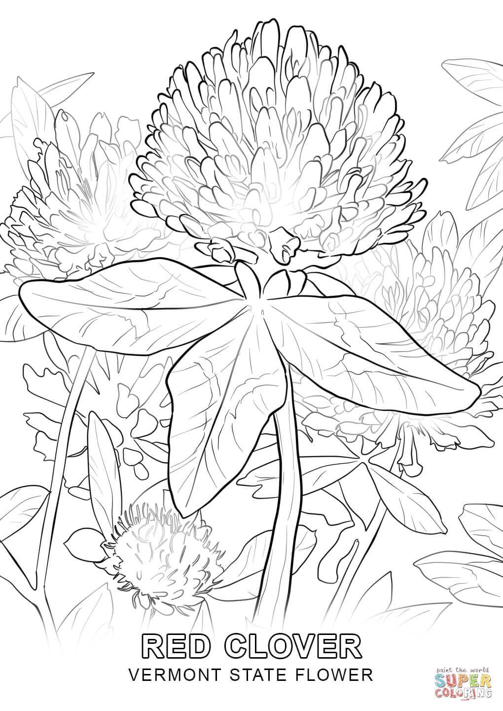 Illinois Coloring Page