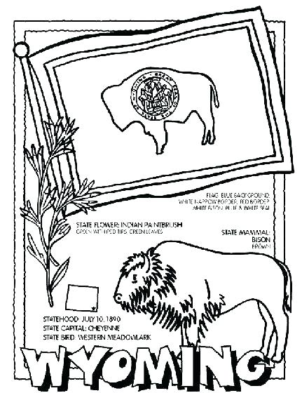 431x560 Illinois State Flag Coloring Page State Coloring Pages For State