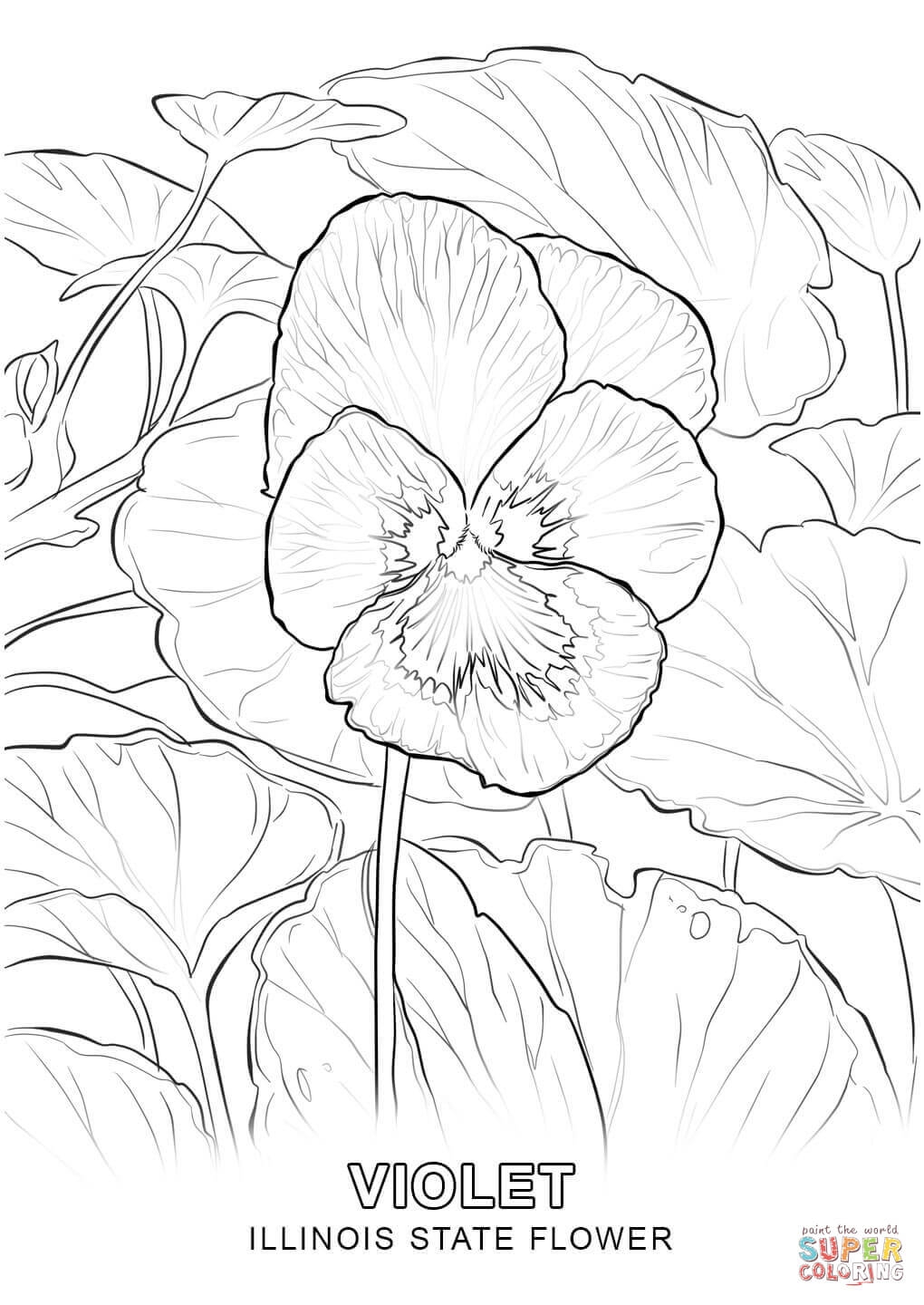 1020x1440 New Illinois State Flower Coloring Page Free Coloring Pages Download