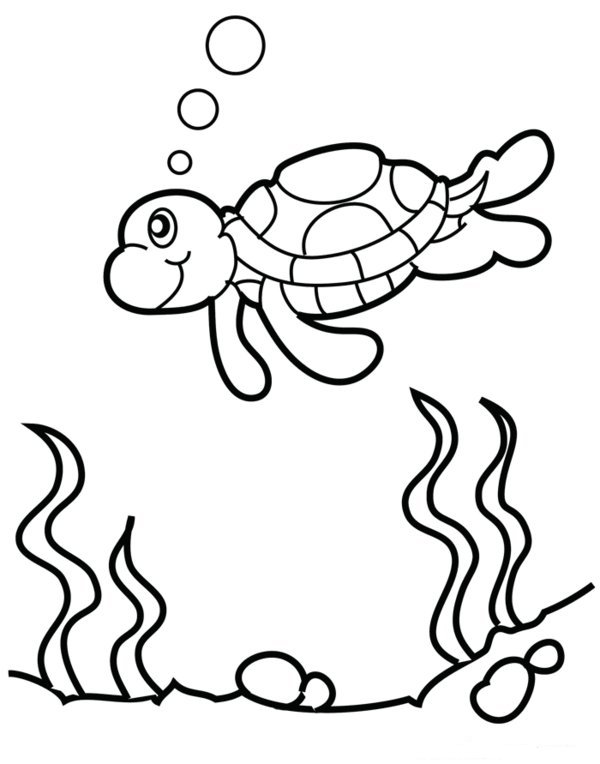 600x764 39m Sorry Coloring Page