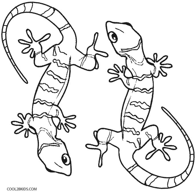 685x676 Printable Lizard Coloring Pages For Kids Cool2bkids