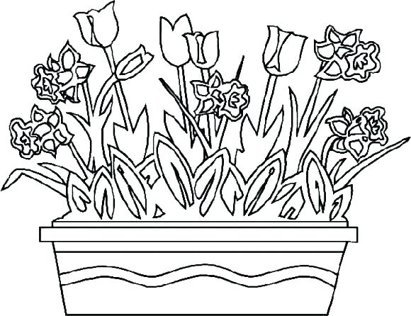 580x446 Coloring Pages Of Flowers As Well As Adult Coloring Pages Flowers