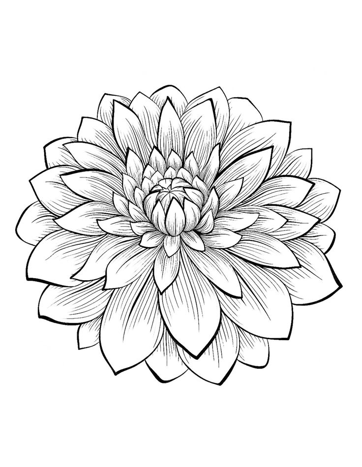 736x950 Adult Coloring Pages Flowers Alluring Best 25 Flower Coloring