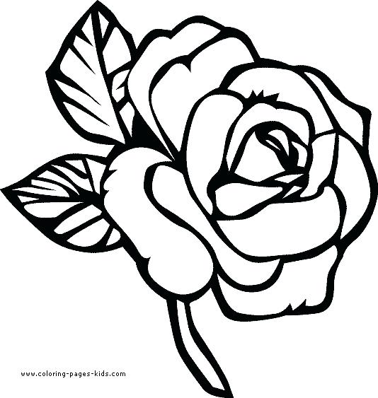 534x563 Free Printable Flower Coloring Pages Flower Coloring Pages Free