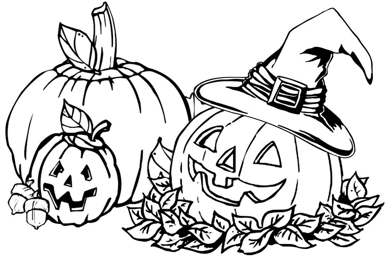1500x998 Fall Coloring Pages For Adults 5