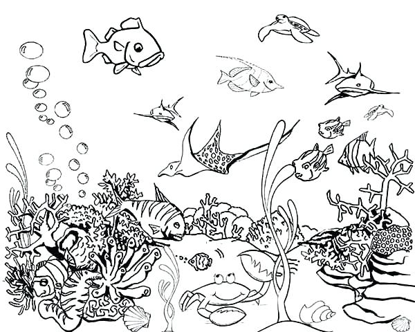 600x480 Fish Coloring Pictures Tropical Fish Tank Coloring Page Fish