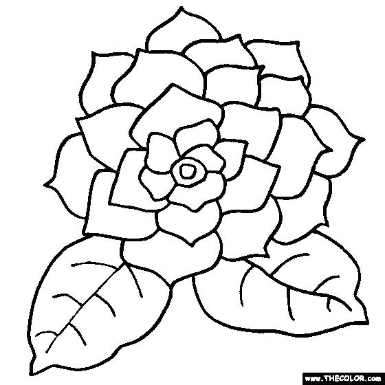 560x560 Flowers Coloring Page