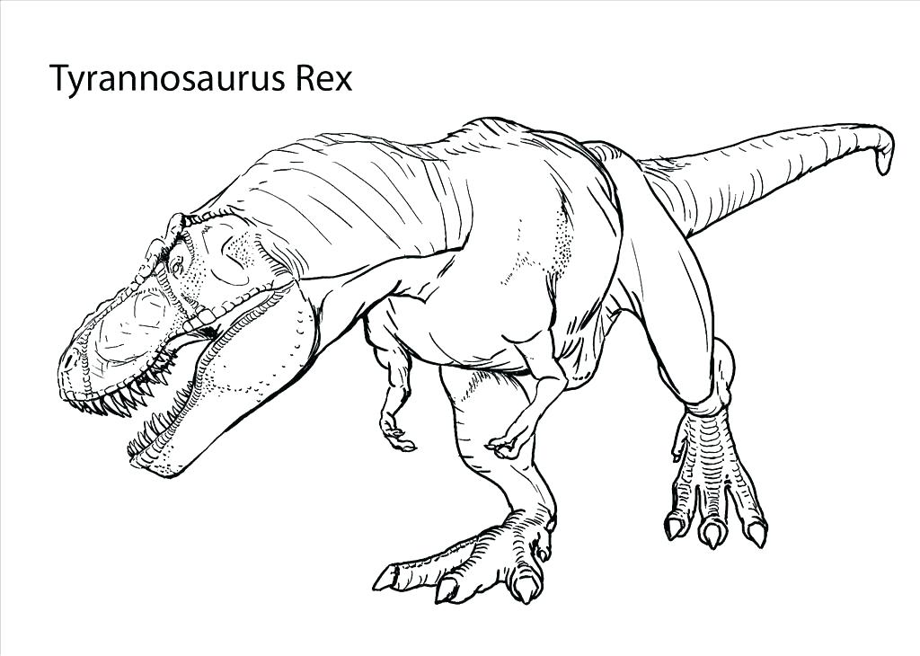 1024x730 Tyrannosaurus Rex Coloring Page T Color Page Good T Coloring Page