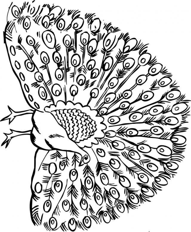 640x777 Handout 1 Coloring Page Of Oshun Signs Of Our Faith Tapestry