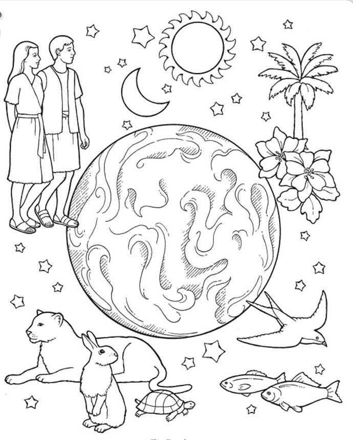 690x860 36 Best Creation Images On Sunday School, Creation