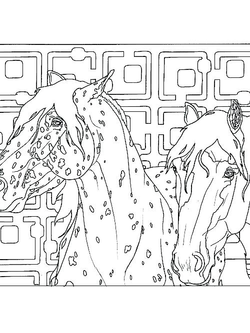 500x667 Inchworm Coloring Page Coloring Pages Of Printable Inchworm Color