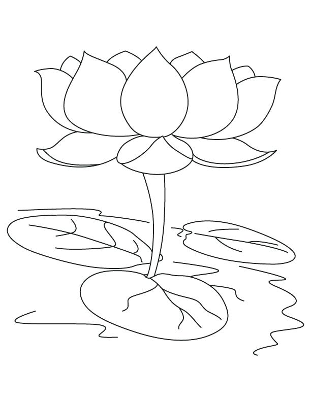 612x792 India Coloring Page Flag Coloring Page National Symbols