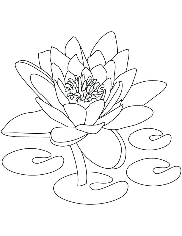 612x792 India Coloring Pages National Flower Of Coloring Page India Gate
