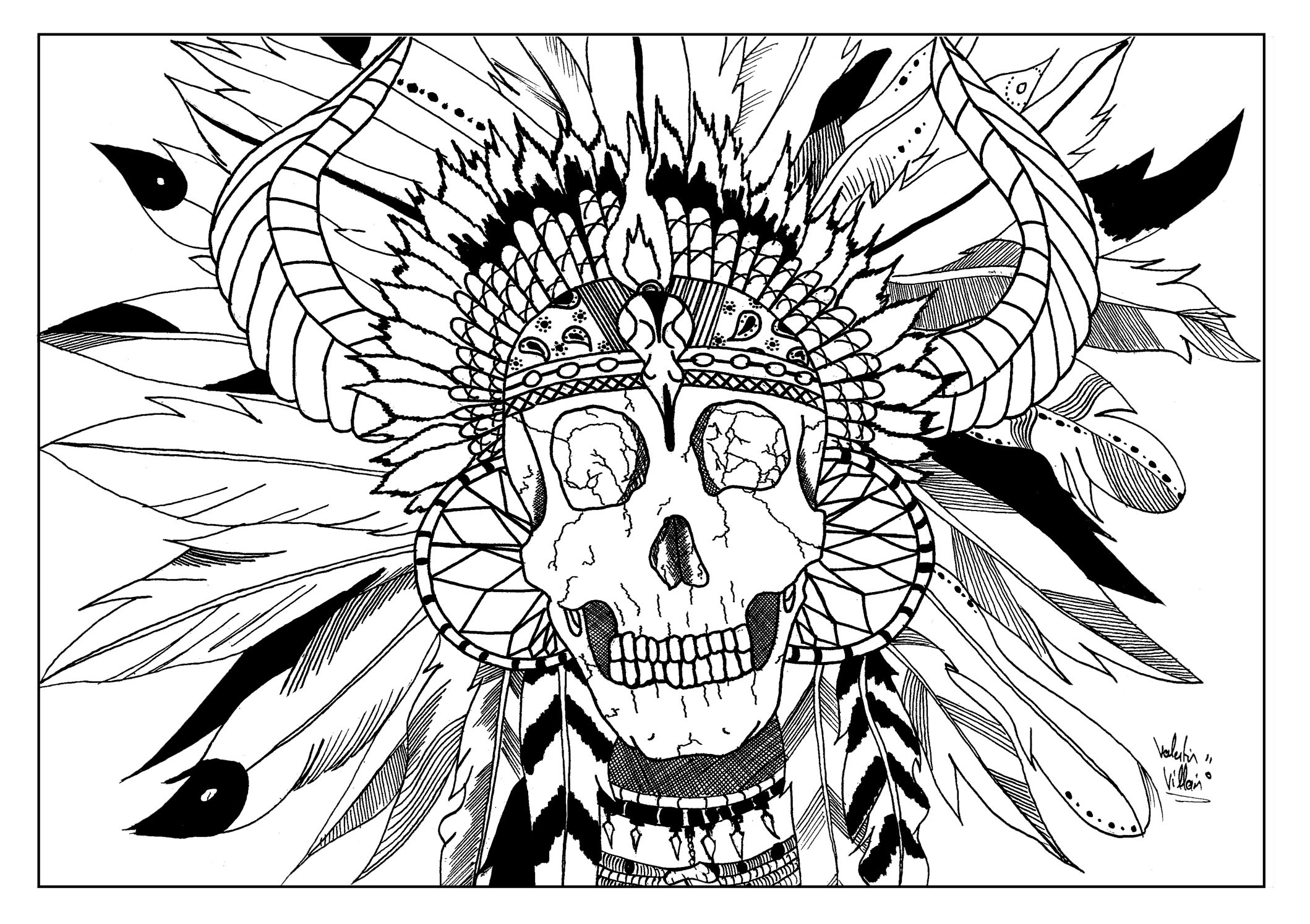 2118x1495 Skull Indian