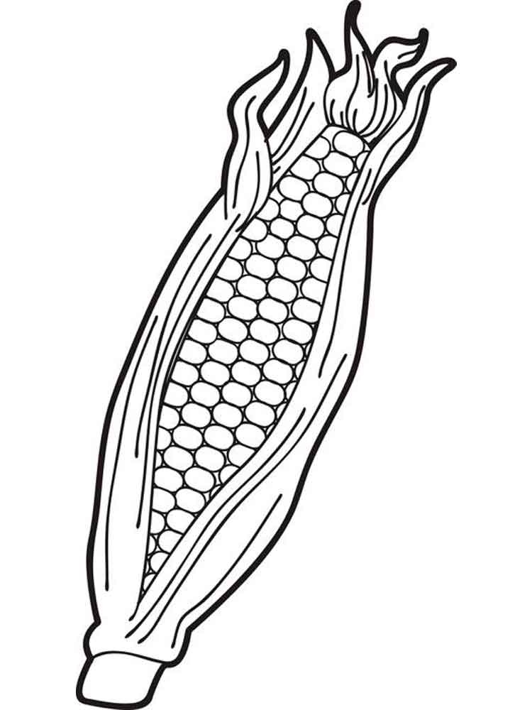 750x1000 Corn Coloring Pages Lovely Fall Indian Corn Coloring Pages