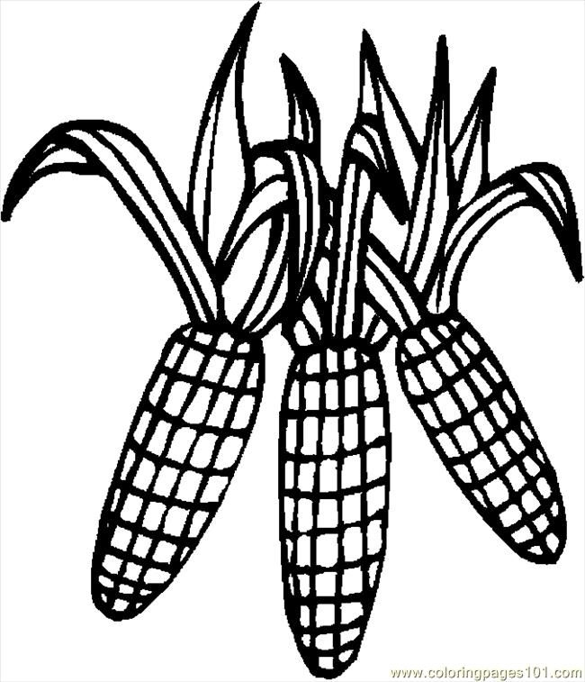 650x757 Corn Coloring Pages New Indian Corn Coloring Page Coloring Home