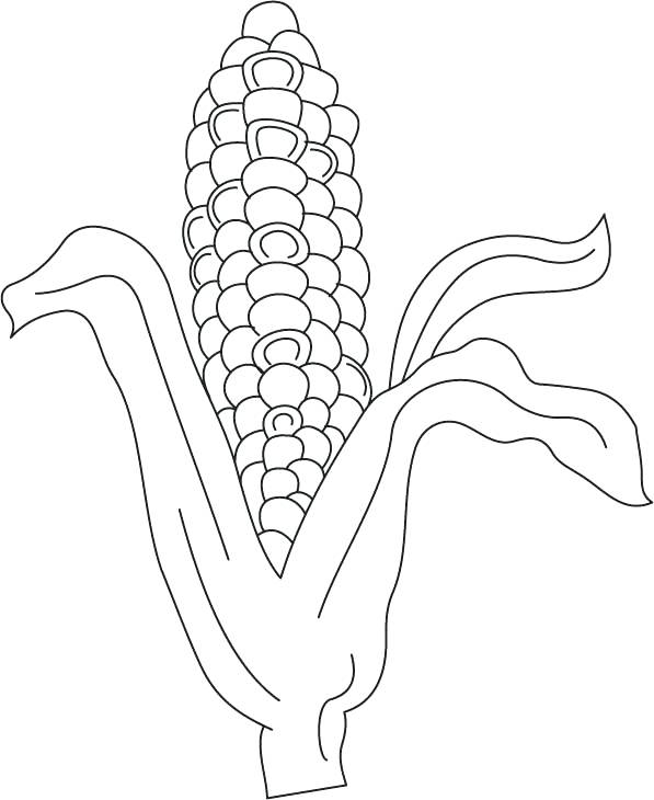 597x730 Corn Coloring Sheet