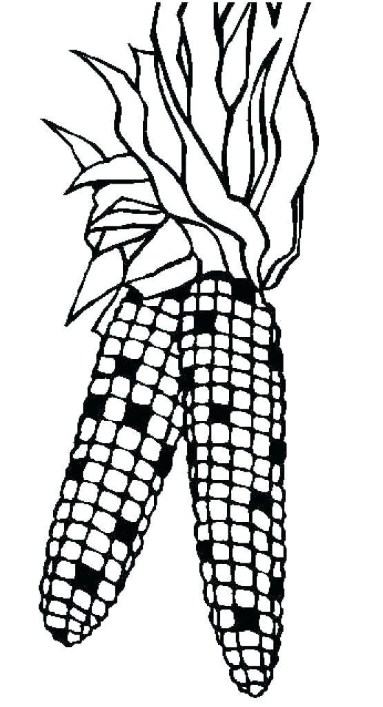 555x1024 Corn For Coloring Coloring Page Of Corn Corn Coloring Sheets Style