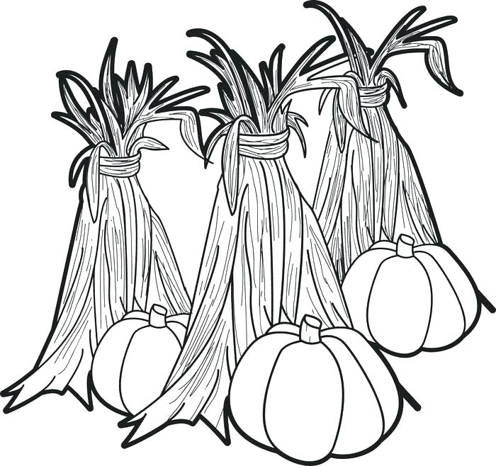 700x658 Indian Corn Coloring Page Corn Coloring Pages Printable Pumpkins