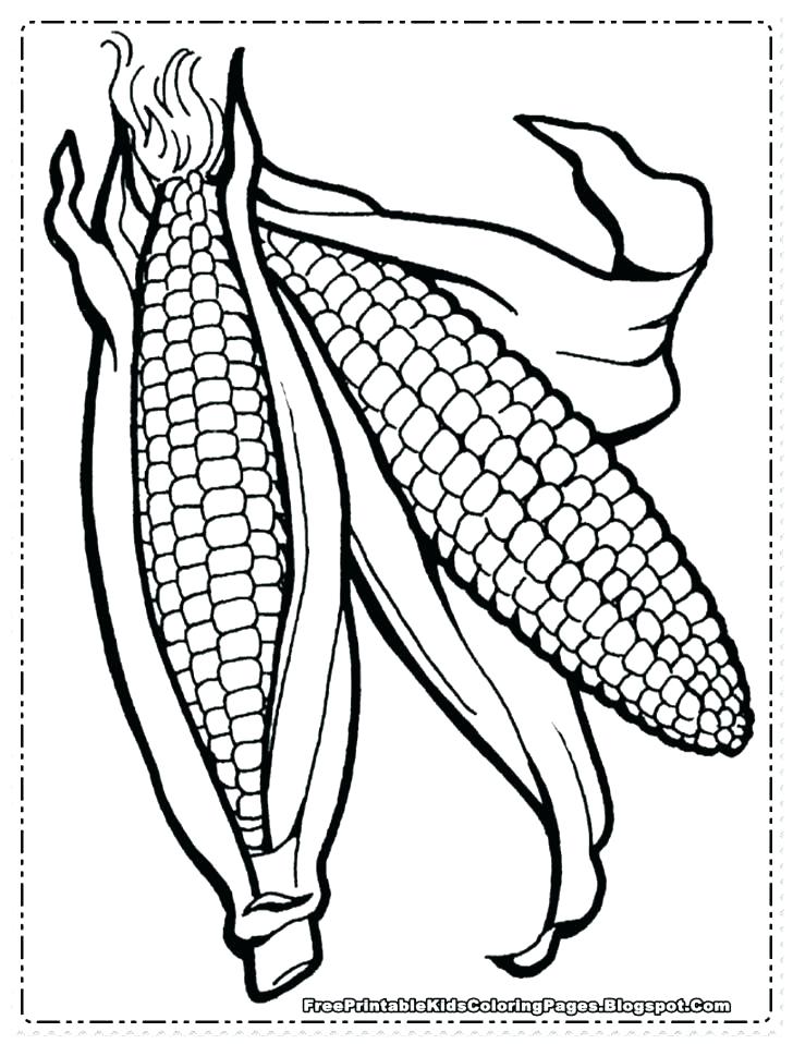 728x958 Coloring Picture Of Corn