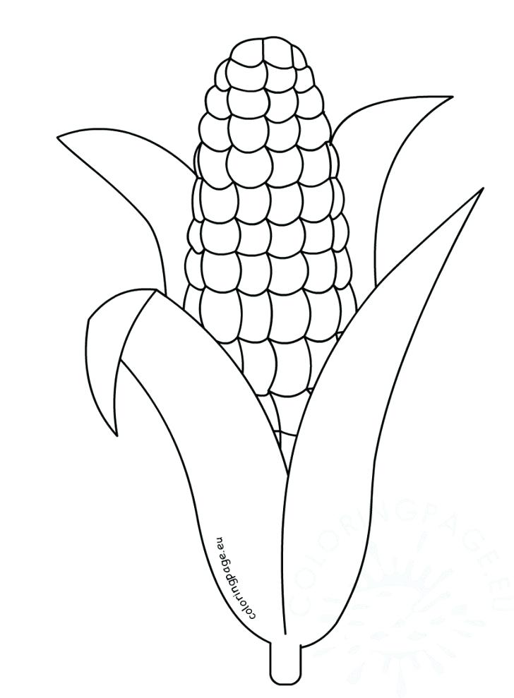 728x989 Corn Coloring Page Corn Coloring Pages Printable Page