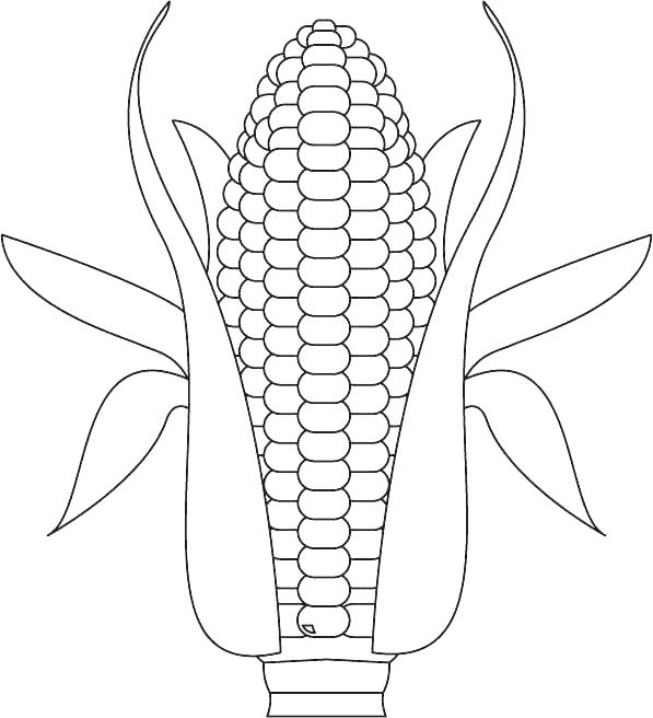 597x656 Corn Coloring Page Printable Candy Corn Coloring Sheet Corn