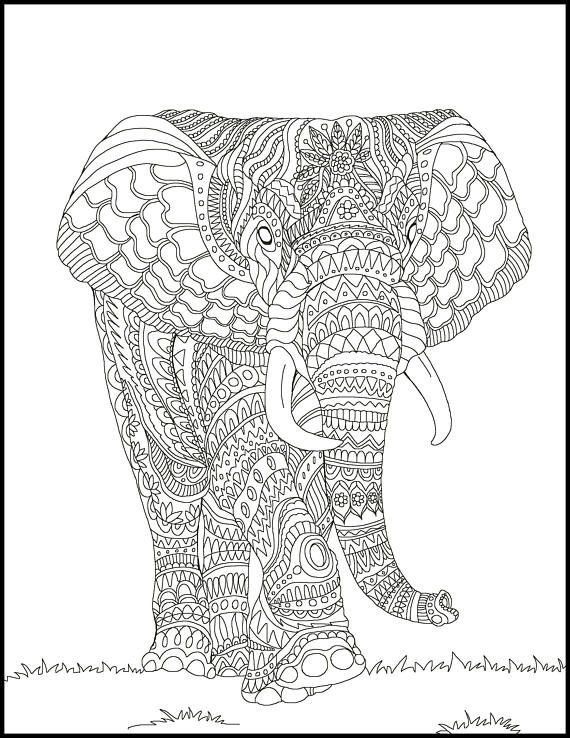 Indian Elephant Coloring Pages