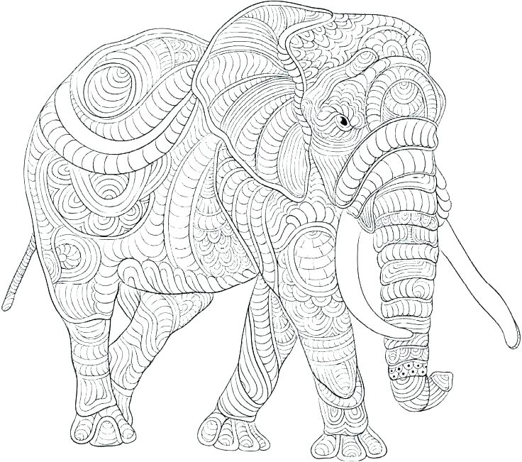 736x651 Coloring Pages Elephant Free Printable Elephant Coloring Pages