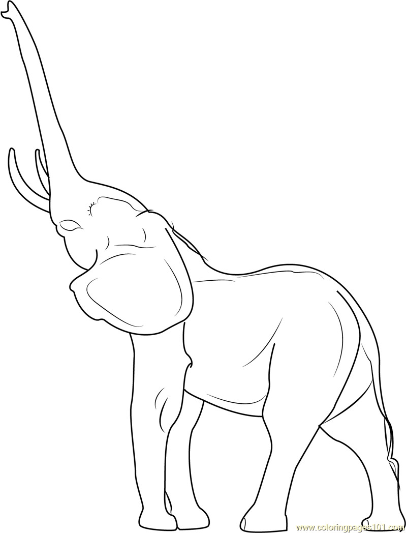799x1048 Indian Elephant Coloring Pages Printable Fresh Coloring Elephants