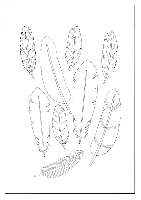 567x802 Feather Coloring Page Printable Turkey Feather Coloring Pages