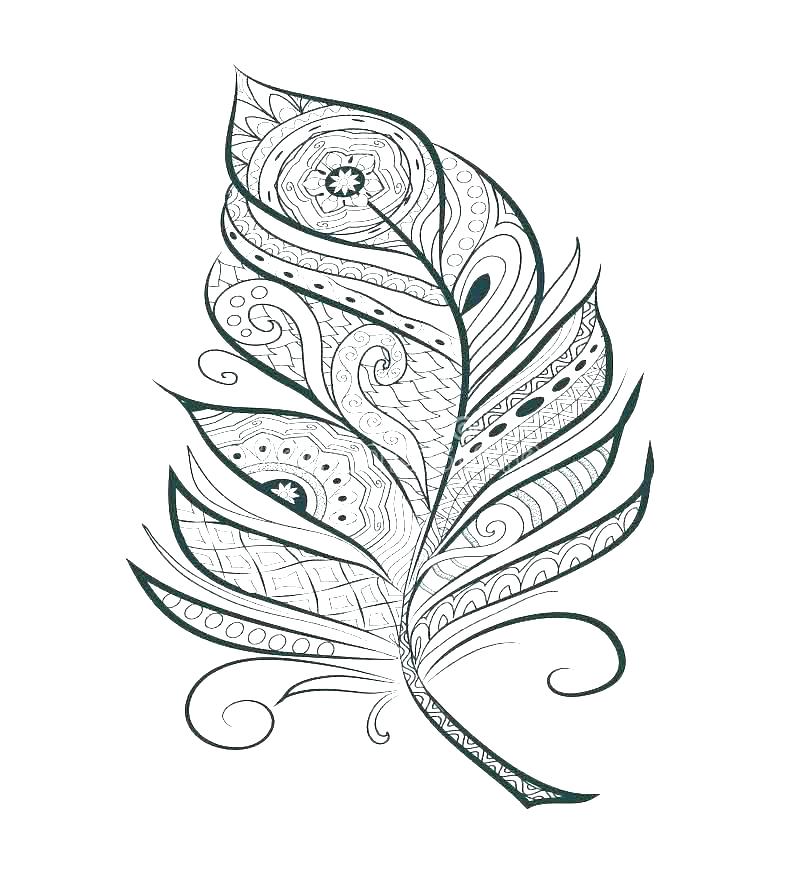 800x889 Feather Coloring Page Turkey Feather Coloring Page Coloring Page