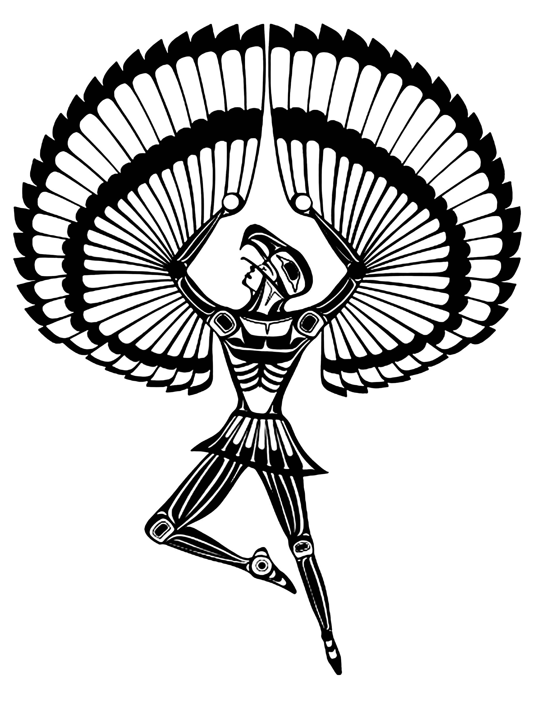 1847x2424 Feather