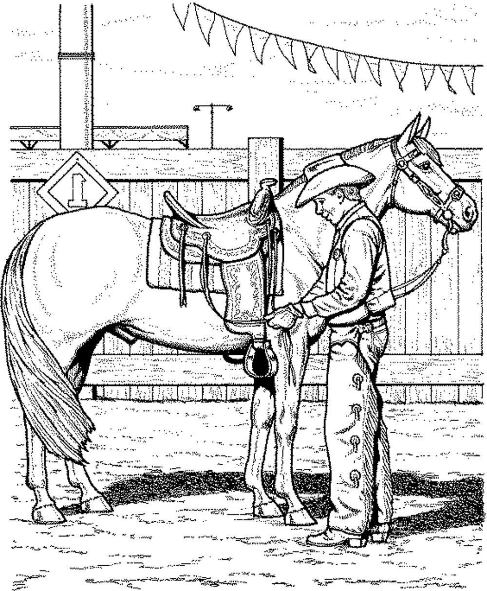 1000x1213 Horse Coloring Pages For Adults