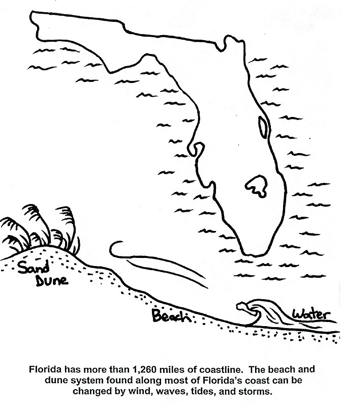 675x800 Florida State Coloring Pages Flag France Franceville