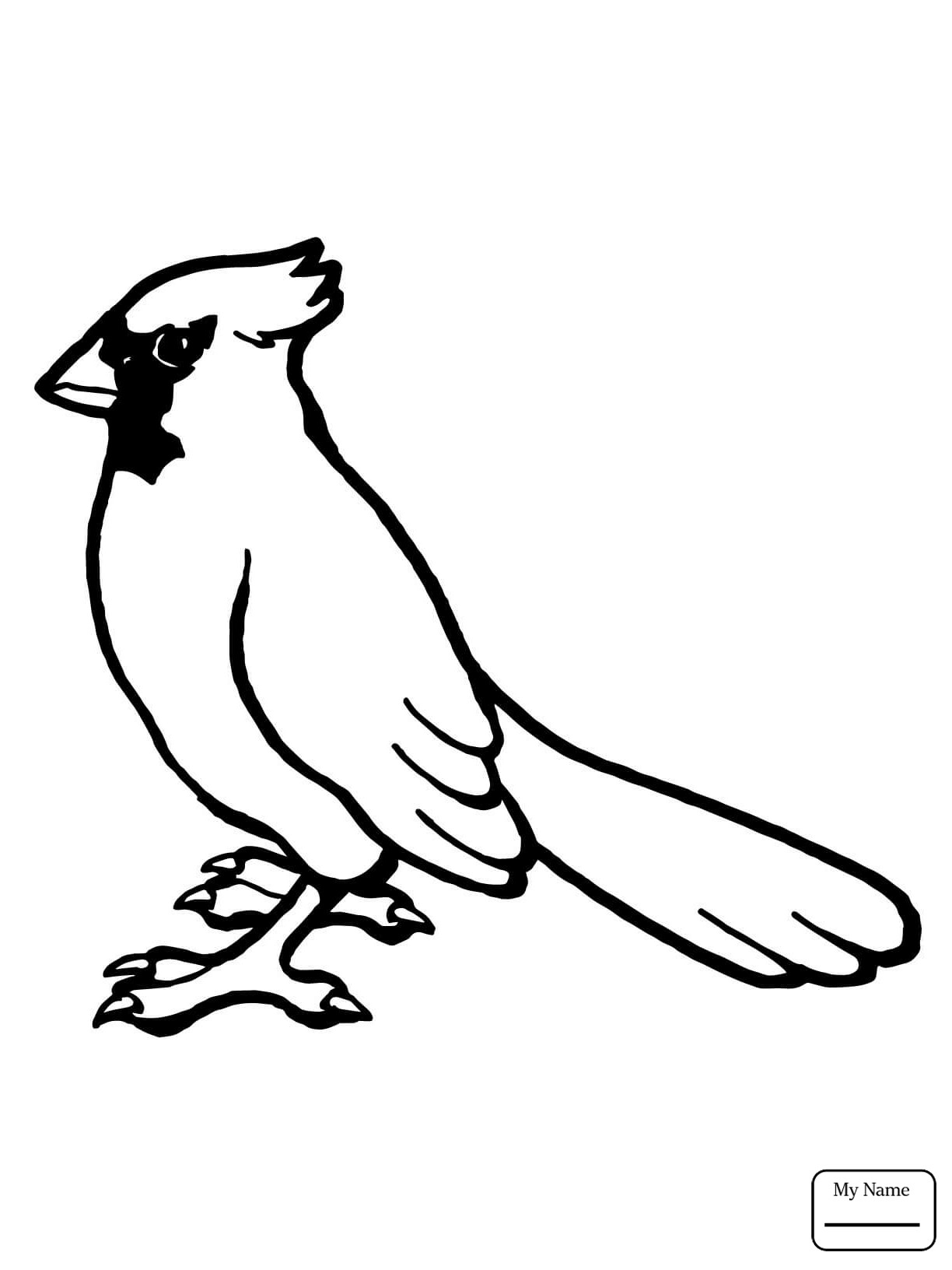 1224x1632 Northern Cardinal Coloring Pages Printable Coloring For Kids 2018