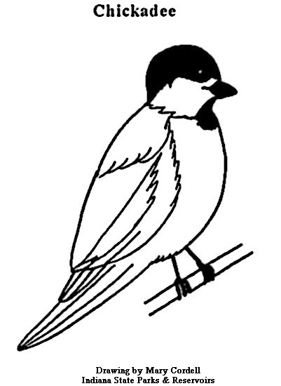 401x550 Dnr Coloring Pages