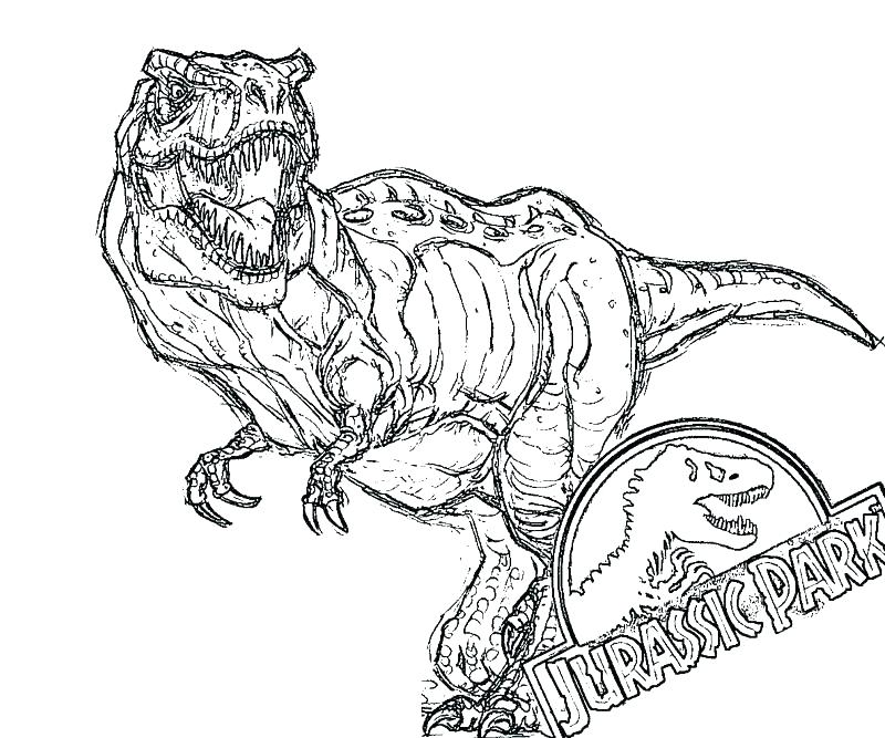 800x667 T Rex Coloring Page