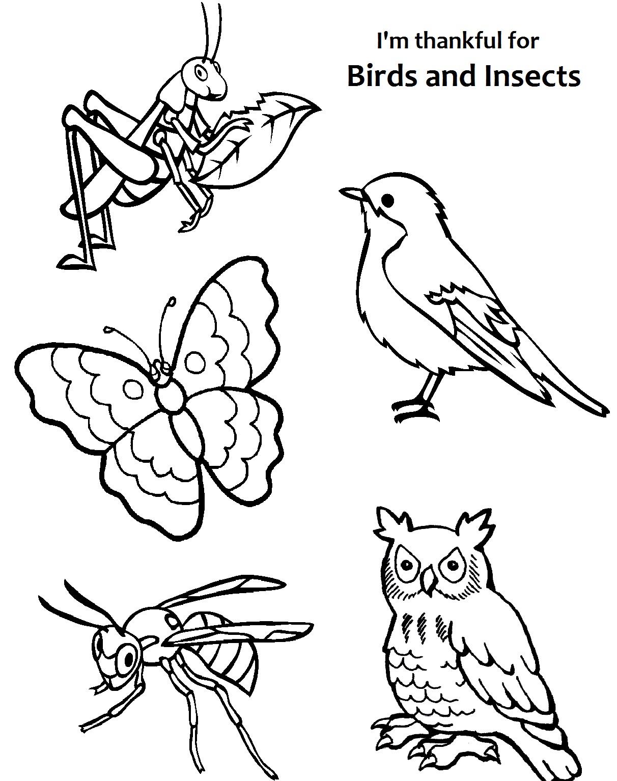 1212x1534 Insects Coloring Pages I Am Thankful For Birds And Page Lds