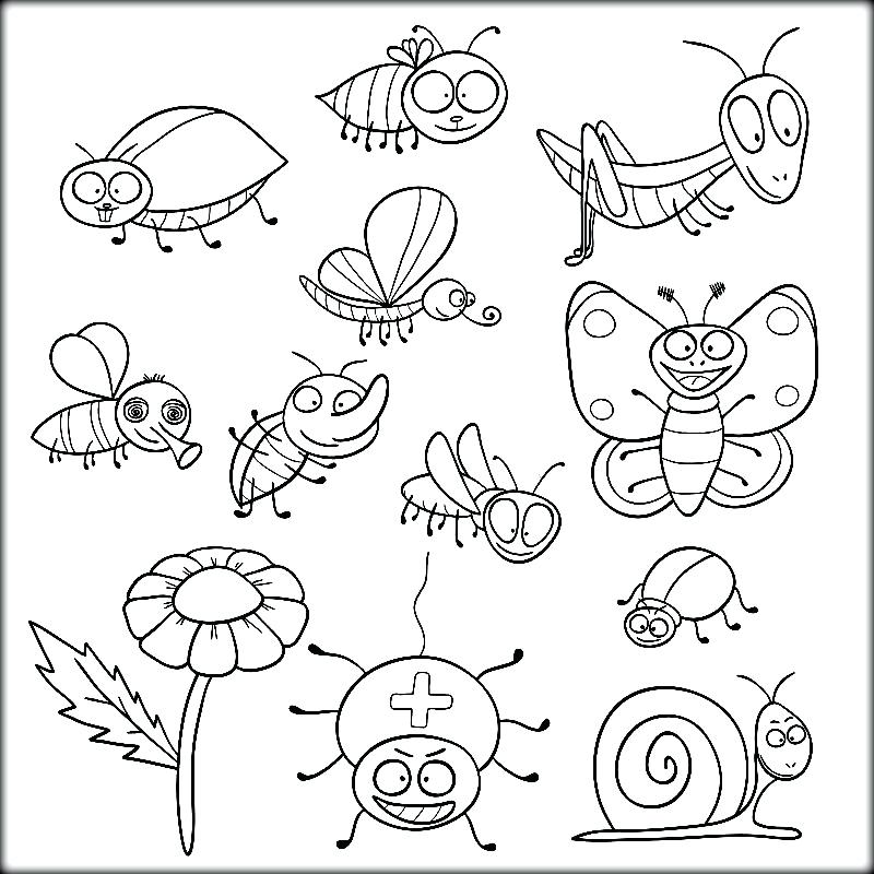 800x800 Insects Coloring Pages Insects Coloring Insects Coloring Pictures