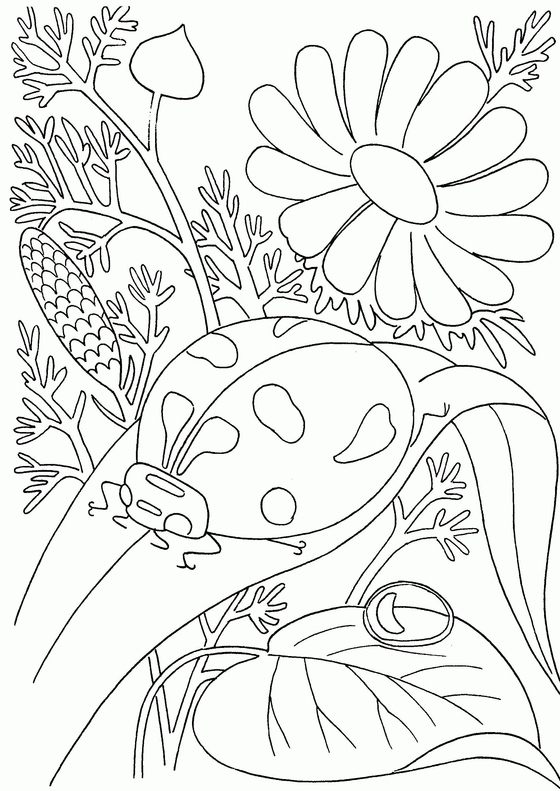 1928x2726 Awesome Insect Page To Color Design Printable Coloring Sheet