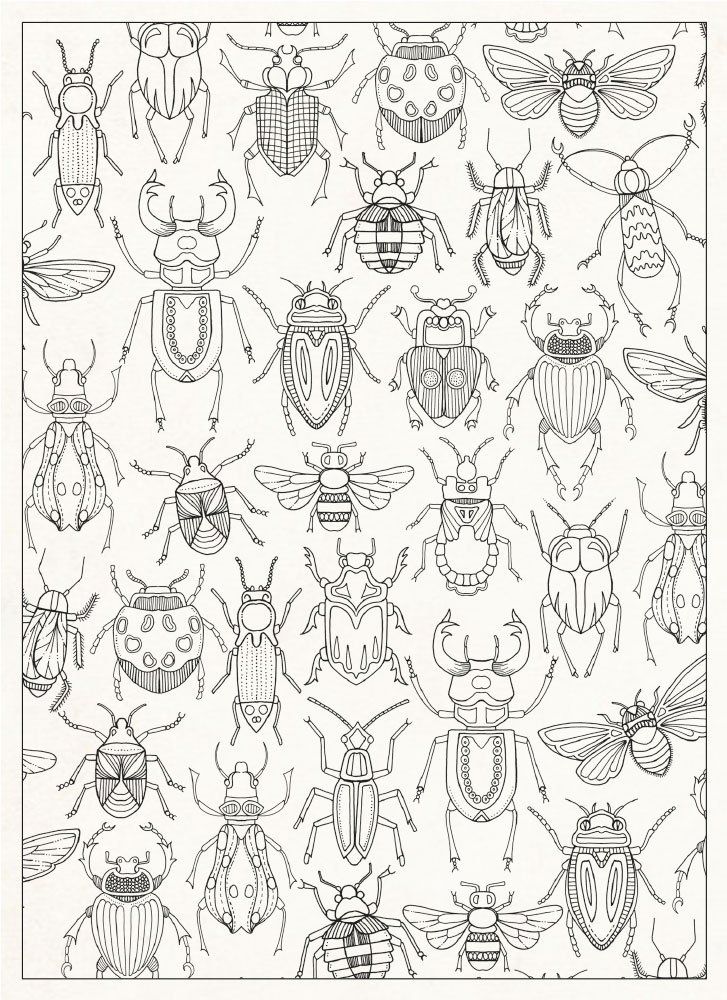 727x1000 Lizards Bugs Frogs Nice Insect Coloring Book