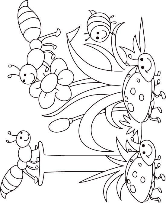 550x672 I For Insect Coloring Page For Kids