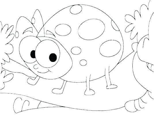 535x415 Insect Coloring Sheets Insect Coloring Pages Cute Ladybug Insect