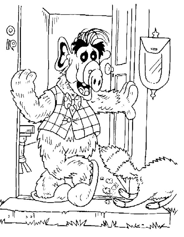 600x770 Alf Chase The Cat Away From Inside House Coloring Pages Batch