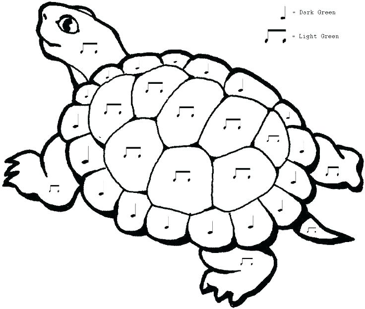 736x623 Musical Coloring Pages Musical Instrument Indian Musical