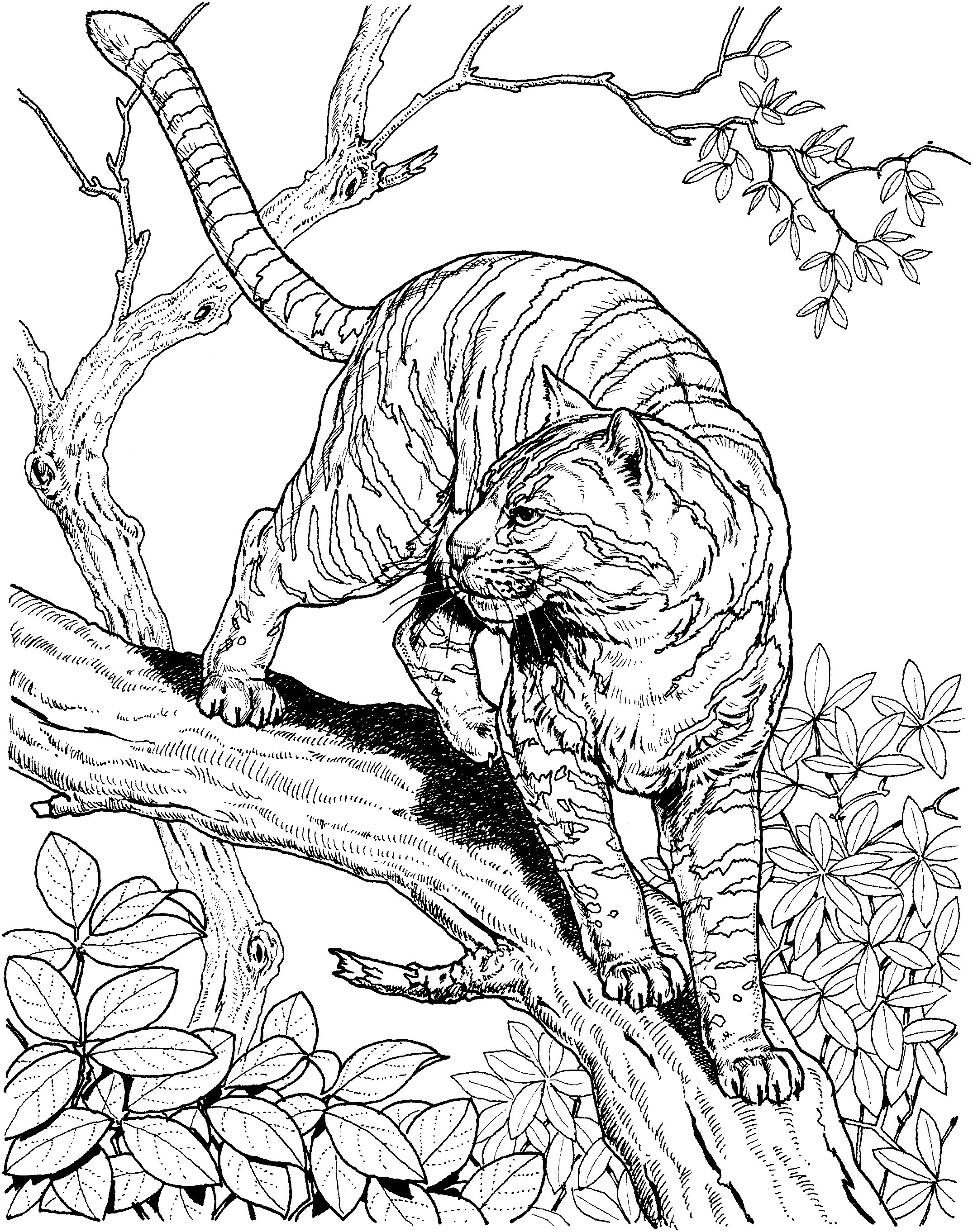2150x2723 Detailed Coloring Pages Interesting On Free Printable Adult 7552