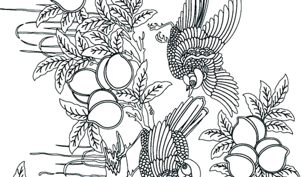 1024x600 Free Printable Advanced Coloring Pages Free Printable Intermediate