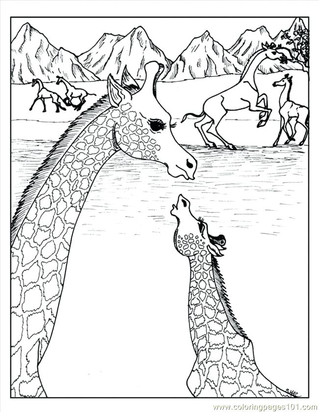650x840 Printable Advanced Coloring Pages Advanced Coloring Pages