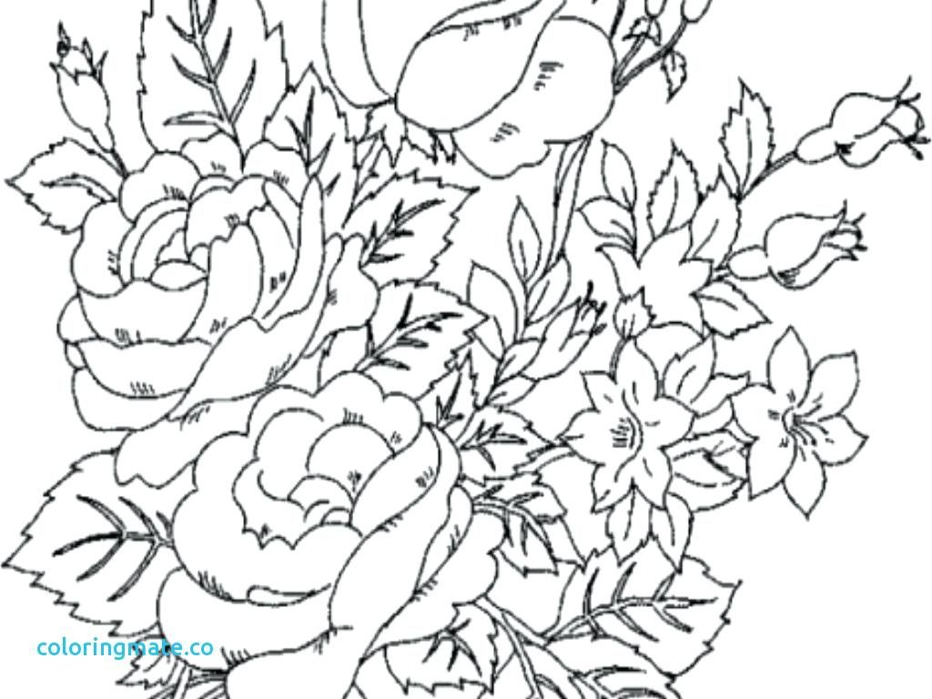 1024x768 Coloring Page ~ Free Printable Advanced Coloring Pages Flower Pot